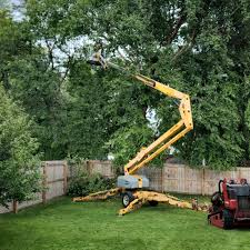  Bartlett, IL Tree Removal Pros